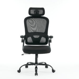 Ergonomic Mesh Office Chair, High Back Desk Chair with 3D Armrests, Up&Down Lumbar Support, Swivel Computer Task Chair with Adjustable 2D Headrest, Tilt Function Black